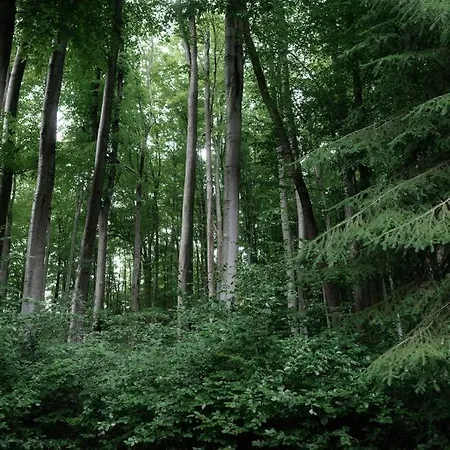 Plne Vybavena Stylova V Malych Karpatoch Bukova