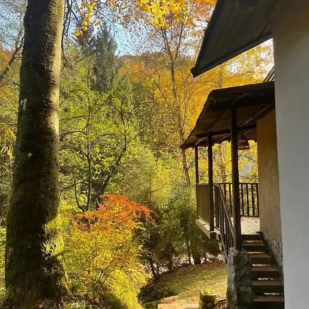 Chalet Plne Vybavena Stylova V Malych Karpatoch Bukova