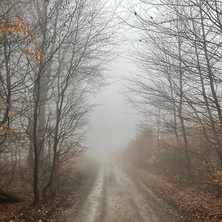 Plne Vybavena Stylova V Malych Karpatoch Chalet Bukova