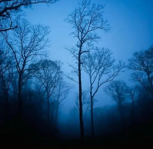 Chalet Plne Vybavená štýlová V Malých Karpatoch