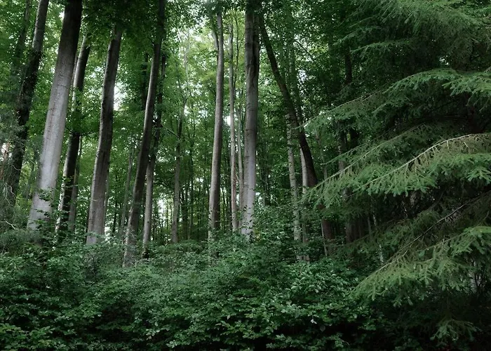 Plne Vybavená štýlová V Malých Karpatoch Bukova
