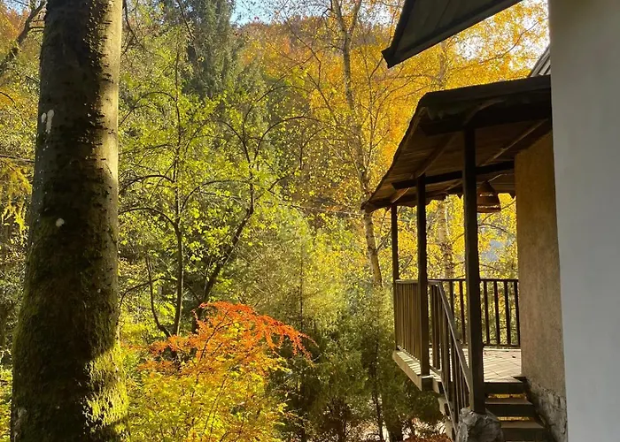 Chalet Plne Vybavená štýlová V Malých Karpatoch Bukova